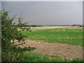 Farmland Near Cuxwold in LN7 6BP