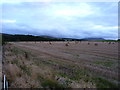 Baled straw near Balleny Farm in EH14 7BF
