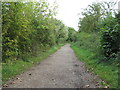 Path at Harrold-Odell Country Park in MK43 7DU