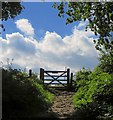 Gate out of the woods, near Welburn in YO60 7EA