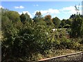 View from a Didcot-Worcester train - Allotments near Grandpont in OX1 4SY
