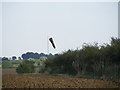 Ploughed field with windsock in PE19 6UF