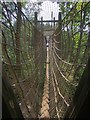Rope walk over bear enclosure at Wildwood Discovery Park in CT6 7LH