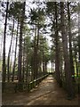 Path at Wildwood Discovery Park in CT6 7LH