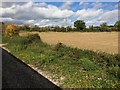 View from a Didcot-Worcester train - Corner of a field near Worten in OX29 4SX