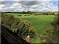 View from a Didcot-Worcester train - Fields near Lower Ridings Farm in OX29 6QD