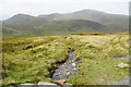 Small stream above Hafodty Newydd in LL55 4UD