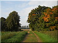Farm track between Peakirk and Glinton in autumn in PE6 7PA