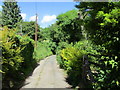 Lane in Hangman's Hill in GL14 1LE
