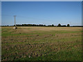 Stubble field in NR9 5PA