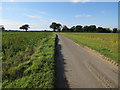 Road from Church Farm in NR9 5PA