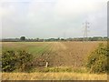 View from a York-Doncaster train - Fields and power lines near Tilts in DN5 0LL