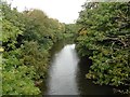 River Brue at Highbridge in TA9 4AJ