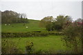 Cornish countryside in East Looe valley in PL14 4JT