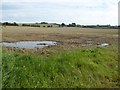 Farmland south of Timberhonger Lane in B61 9DN