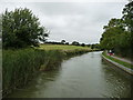 Looking west on the Market Harborough Arm, near Foxton in Gartree