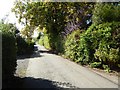 Woodland Road, Dodford in DY9 0AU