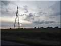 Pylon in Millow in SG18 8QY
