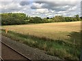 View from a Didcot-Worcester train - Fields and trees near Sars Brook in OX7 6PU