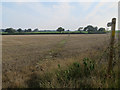 Footpath through stubble field in NR28 9NW