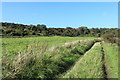 Farmland and Path at Lady Bay in DG9 0PD