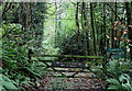 Entrance to Trinity Hill Woods(Sporting Reserved) in DT7 3SL