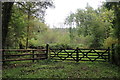 Gateway into Woolly Wood in EX13 5SU