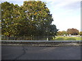 Roundabout on Gunnels Wood Road, Stevenage in SG1 2ET