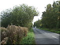 Lynn Road, Roydon Common in PE32 1BP