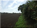Field and hedgerow near Tythe Farm in PE32 2SU