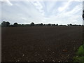 Field near Tythe Farm in PE32 2SU