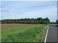 Strip of woodland near South Raynham in NR21 7HQ