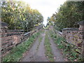 Crossing the railways, Blackergreen Lane in S75 4RD
