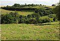 Valley, Lower Longcombe in TQ9 6PW