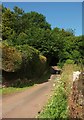 Lane at Lower Longcombe in TQ9 6PW