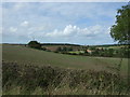 Hillside crop field, East Barsham in Barsham