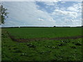 Crop field off Warham Road in NR23 1NE