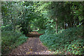 Ayot Greenway at Robinsons wood in AL4 8ND