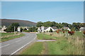 Cows grazing at the southern edge of Rhynie village in AB54 4HX
