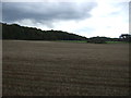 Stubble field beside Oak Wood in NR26 8TB