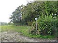 Bridleway to School House Farm in TA20 4NR