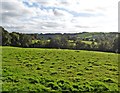 Farmland on Venn Hill in TA20 4QA