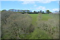 Wooded valley, east of Hessenford in PL11 3HH
