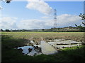 Puddle in a field near to Coldfrey Farm in GU34 4LD