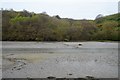 Mud, River East Looe in PL13 1FD