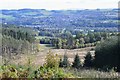 Selkirk from Traquair Plantation, Philiphaugh in TD7 5LX