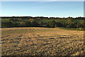 Field of Stubble near Sturdy Beck in LS17 9JW