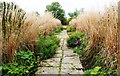 Pathways through the flowers and grasses, Tintinhull Gardens in BA22 8PX