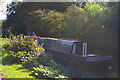 Narrowboat on the River Stort below Harlow Mill in CM20 2DP