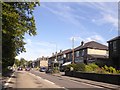 Bus shelter and shops, A6 in Darley Dale in DE4 2FZ
